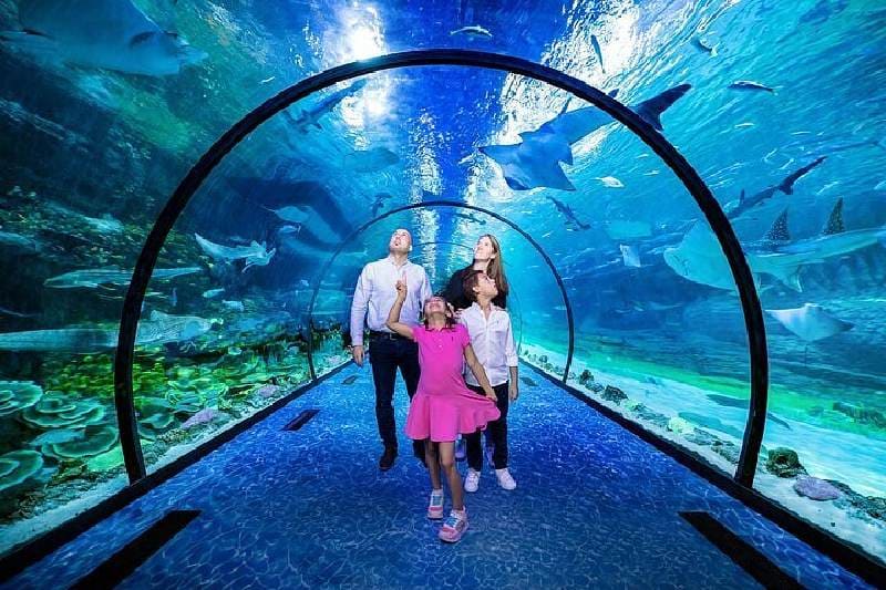dubai best package deals